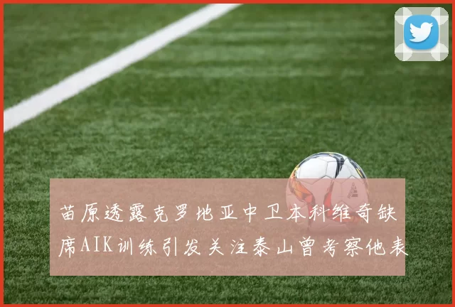 苗原透露克罗地亚中卫本科维奇缺席AIK训练引发关注泰山曾考察他表现