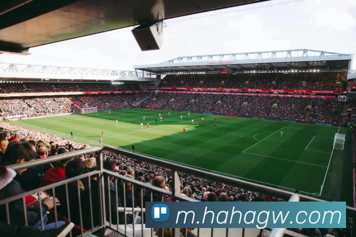 哈哈体育官网发展历程